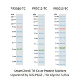PrepMate MS1836-FSNK MultiStation 36" Prep Station with Dual Shelves